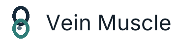 Vein Muscle