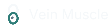 Vein Muscle