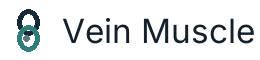 Vein Muscle